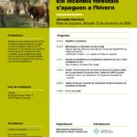 Els incendis forestals s’apaguen a l’hivern