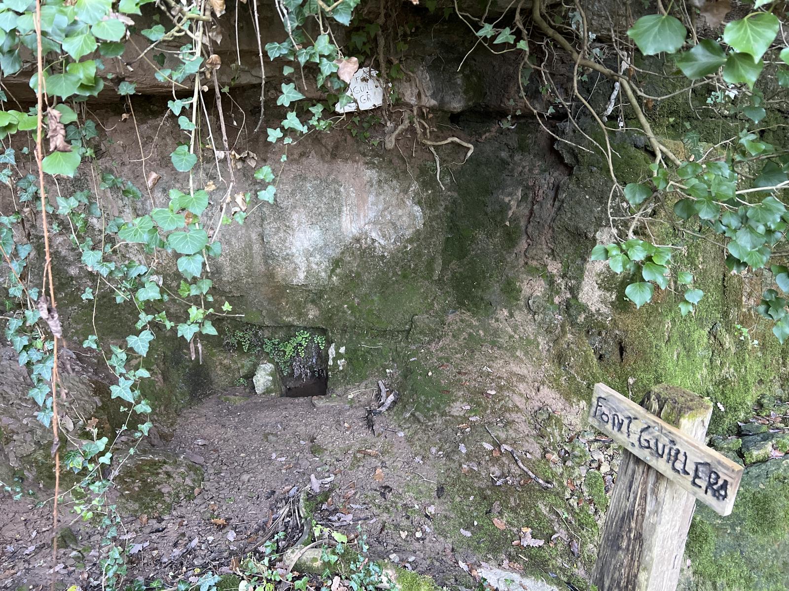 Font Guillera